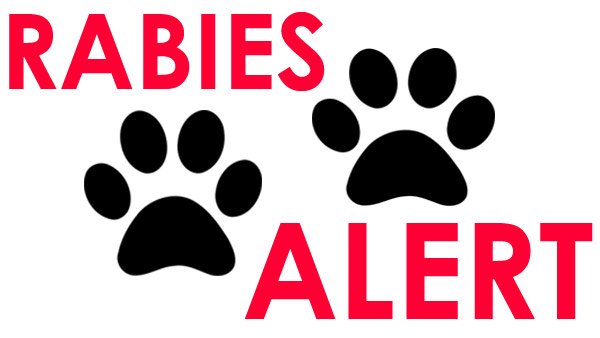 Department Issues Rabies Alert in High-Risk Regions: Urges Public Caution
