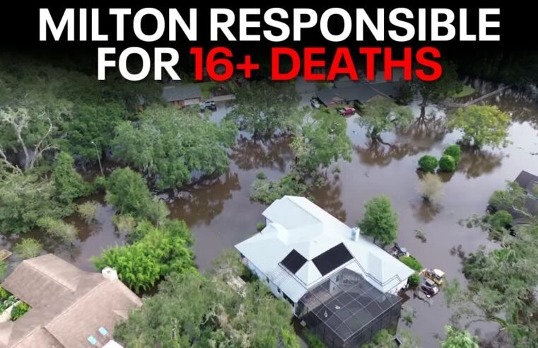 Hurricane Milton: Death toll rises as Florida recovers from damage