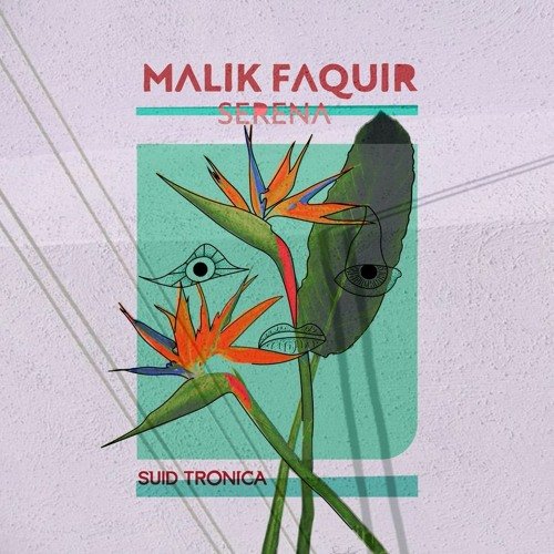 DHSA Premiere: Malik Faquir, Sebee – Instintivo (Original Mix)