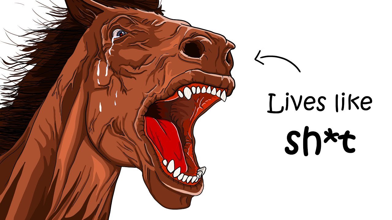 Why It Sucks to Be Born as a Horse
