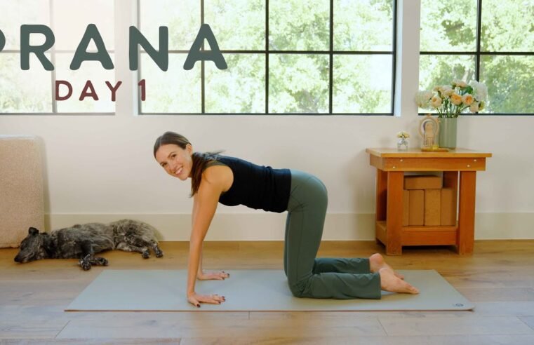 Prana – Day 1