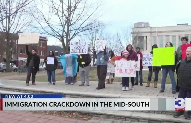 Over 250 immigrants in Greater Memphis area taken into custody after inauguration