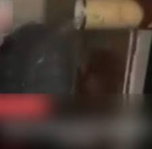 clip++zanzou video trending video zanzou night club zanzou club pretoria x twitter South Africa