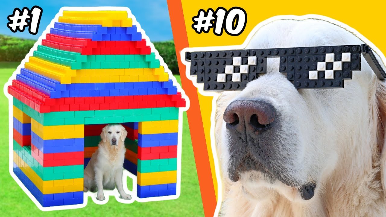 LEGO BUILDS for a DOG…