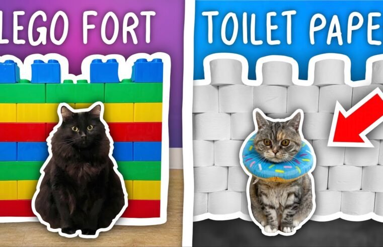 I Built 10 Incredible Cat Forts!