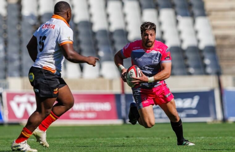 Mbombela cat fight headlines round 3