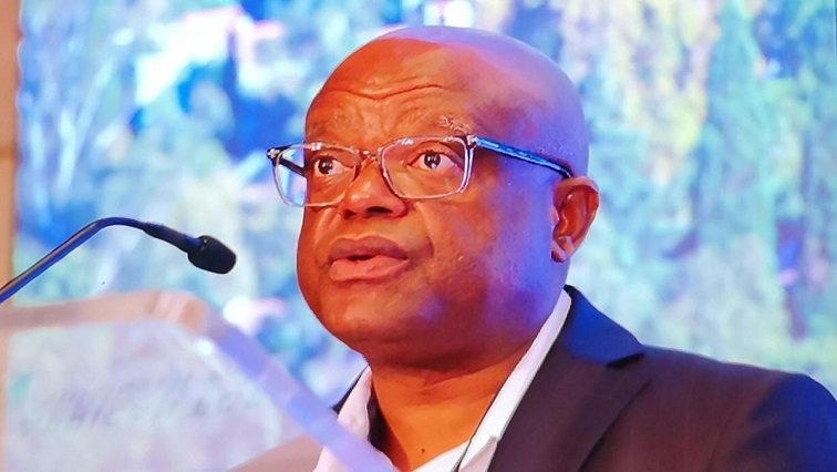 Johannesburg boosts green infrastructure to combat climate change – SABC News