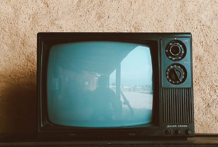 Case to halt analogue switch off continues – SABC News