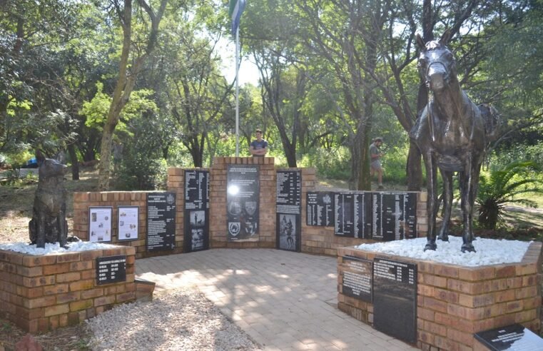 Military veterans honour animals in war – SABC News