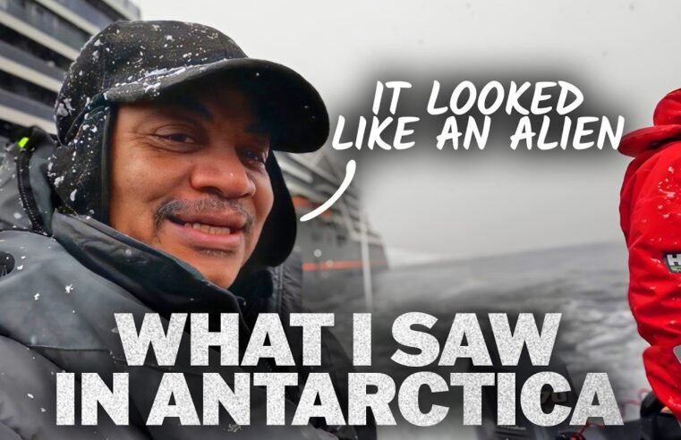 What I Saw in Antarctica