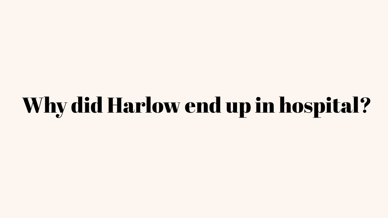 Why did Harlow end up in hospital?
