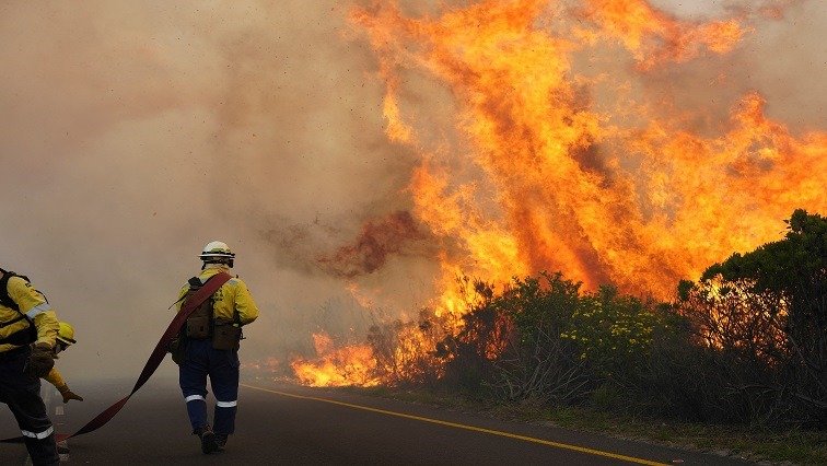 Cape Town firefighter injured while battling Table Mountain blaze – SABC News