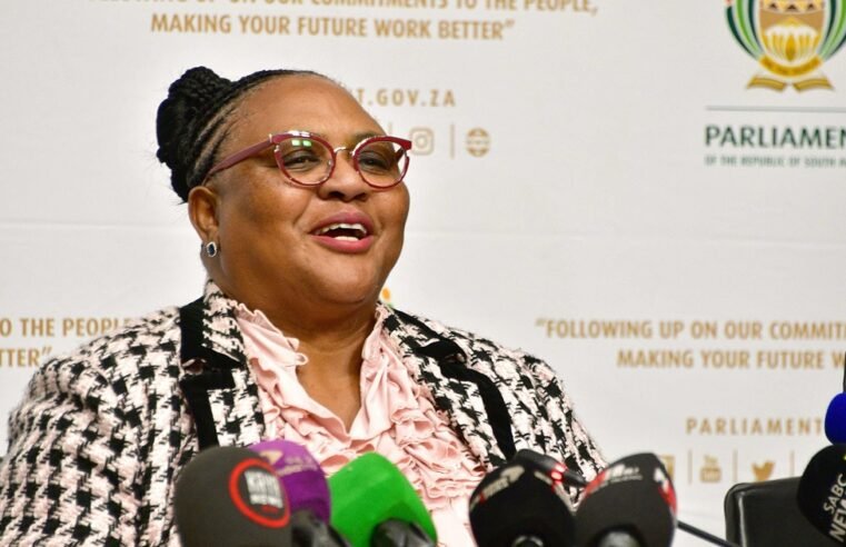 EFF calls for public input on the Budget, threatens court litigation – SABC News