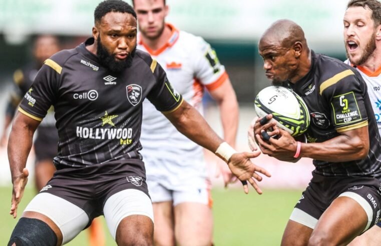 Sharks flyers flay French defence