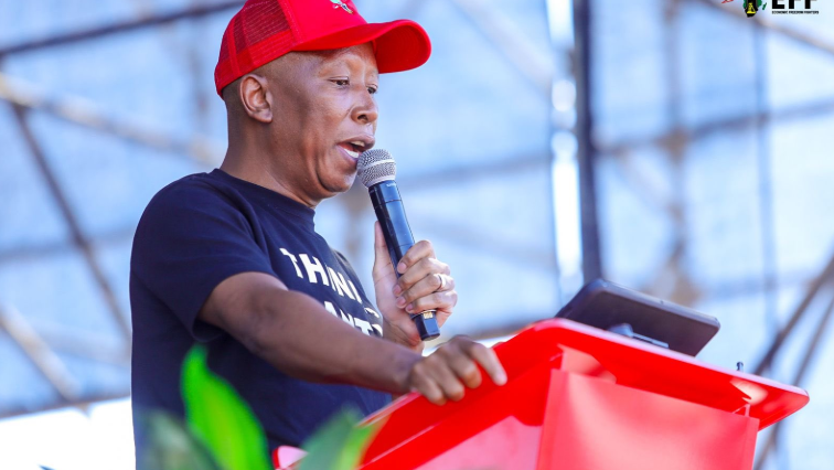 Malema slams government over budget crisis at Freedom Day rally – SABC News