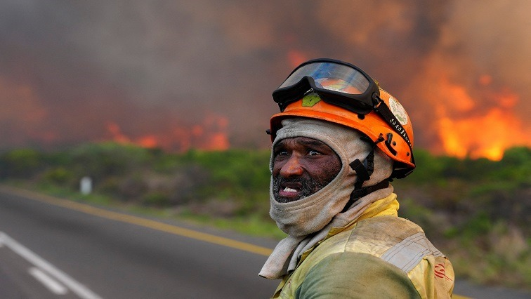 Animal rescue efforts under way after Tokai wildfire – SABC News