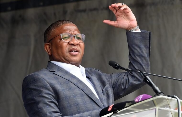 Mbalula hails Pope Francis as Champion of global peace – SABC News