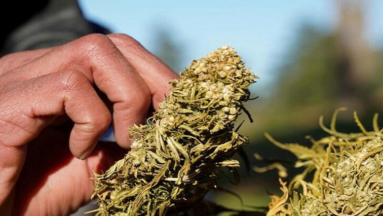 NGO calls for action against youth drug culture – SABC News