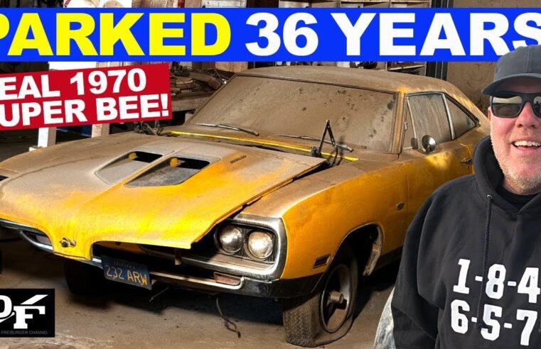 I Bought a 1970 SUPER BEE PARKED SINCE 1989!