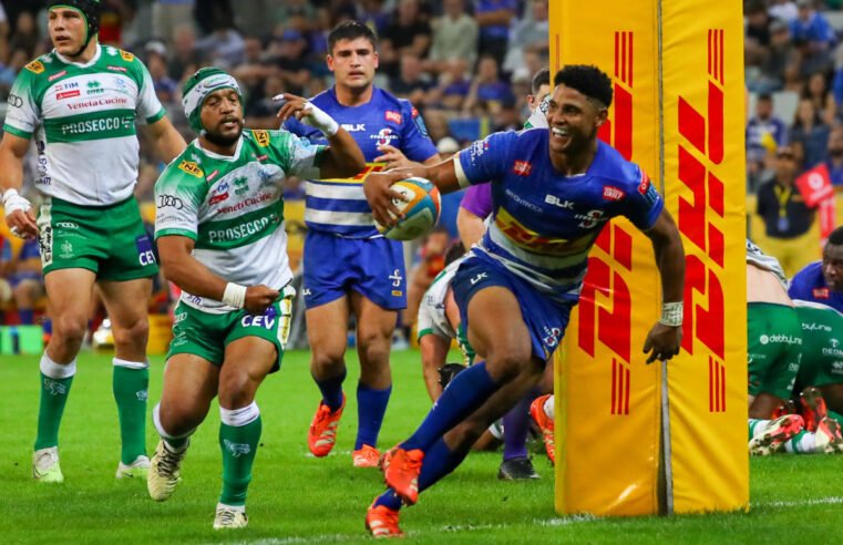 Sacha key part of Stormers’ Project 2029 plans