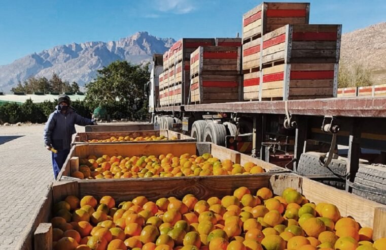 Agriculture Ministry working on improving US relations: Steenhuisen – SABC News