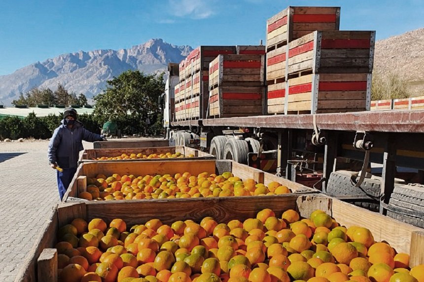 Agriculture Ministry working on improving US relations: Steenhuisen – SABC News