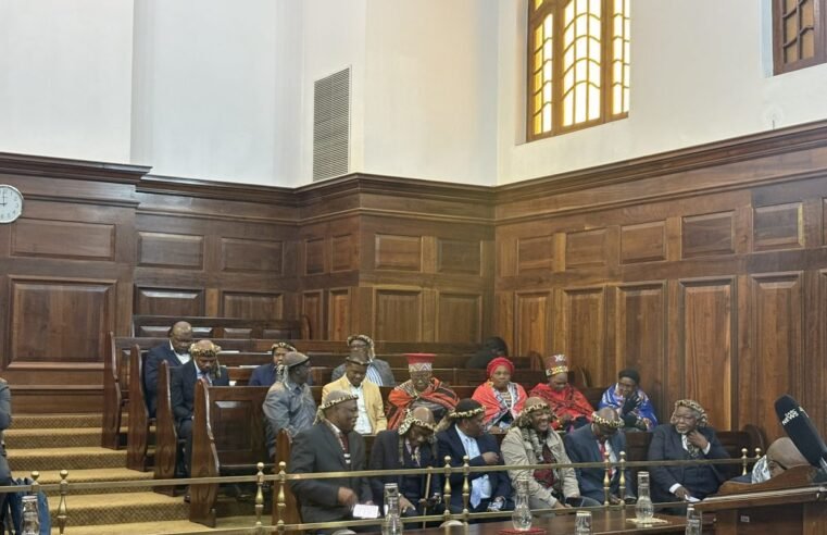 King Misuzulu’s selection meeting labelled ‘frivolous’ – SABC News