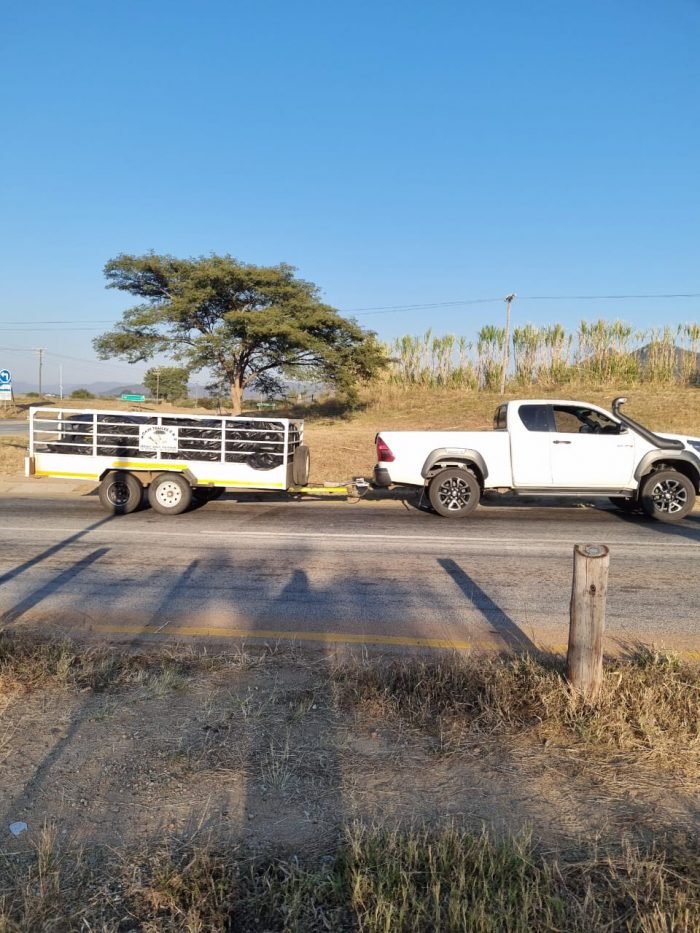 A man arrested in Limpopo for possession of dagga worth R8 mln – SABC News