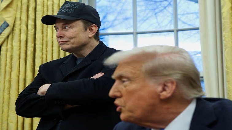 Without Musk, DOGE likely to fizzle out, says ex-staffer – SABC News