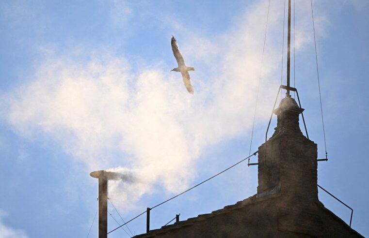 White smoke billows from Sistine Chapel as new Pope elected – SABC News