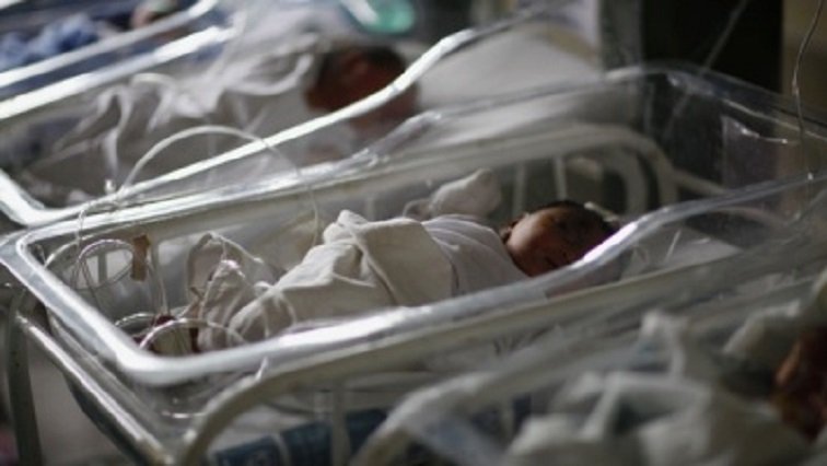 Newborns abducted from Gqeberha hospital, police launch search – SABC News