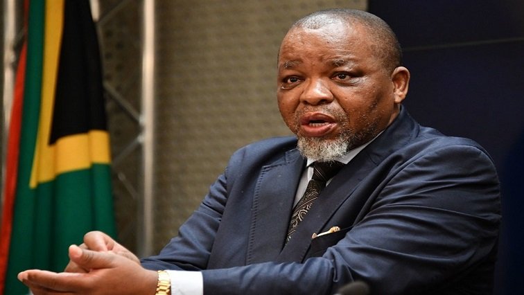 Attracting foreign investment remains critical for SA: Mantashe – SABC News