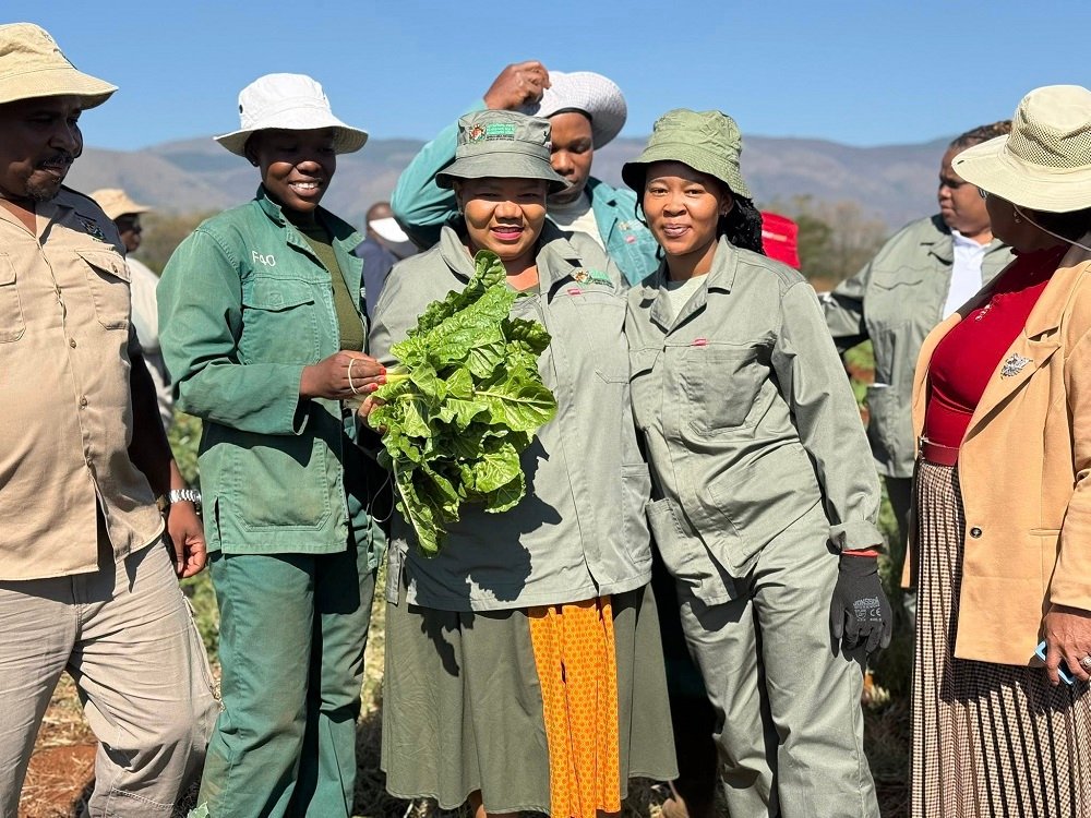 Mpumalanga youth turn to farming via Fortune 40 programme – SABC News