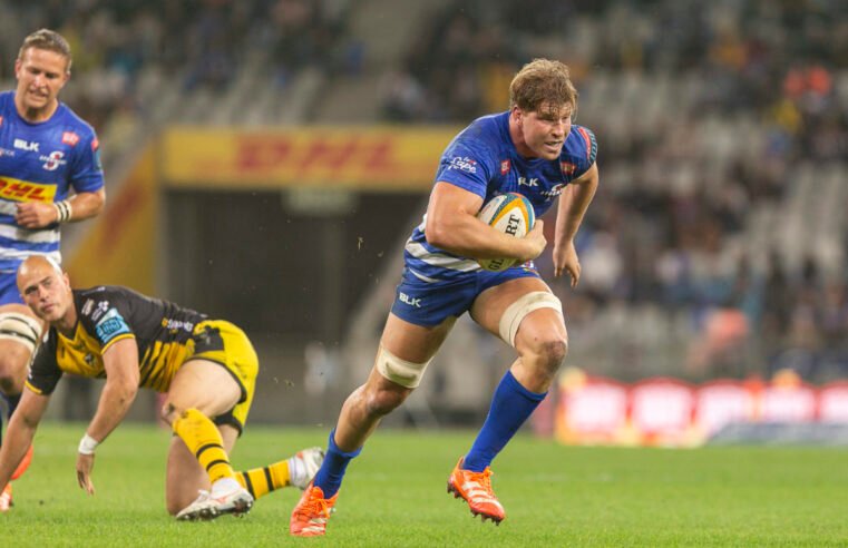 Stormers coach on Roos’ Bok snub