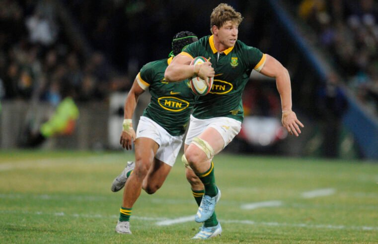 Roos called up to Bok squad