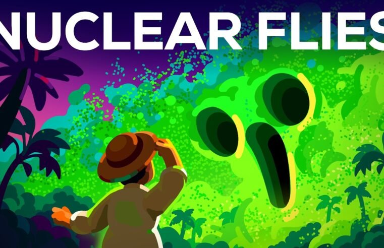 How Nuclear Flies Protect You from Flesh-Eating Parasites