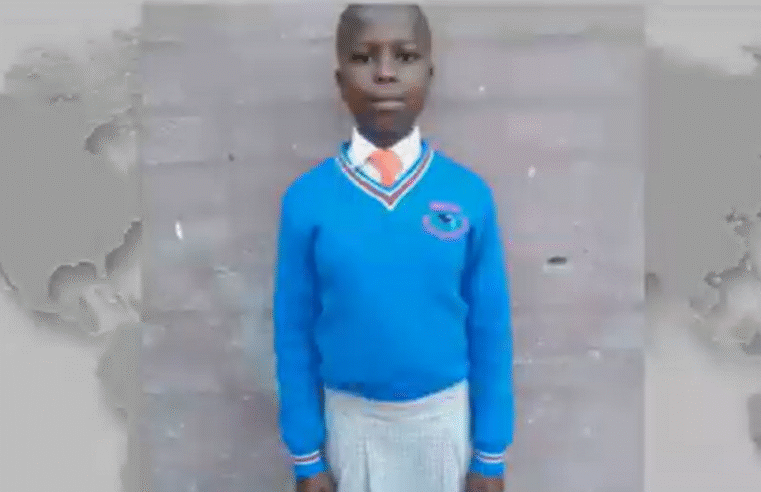 Police refute MMC’s claims of second arrest in Likhona Fose’s murder – SABC News