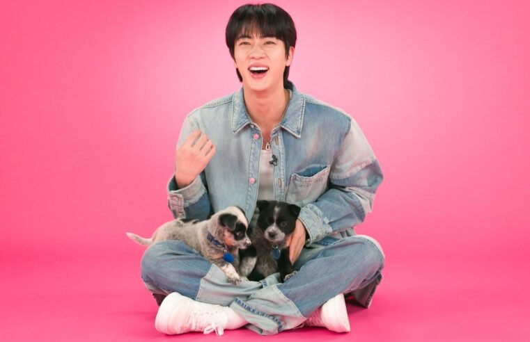 Jin: The Puppy Interview