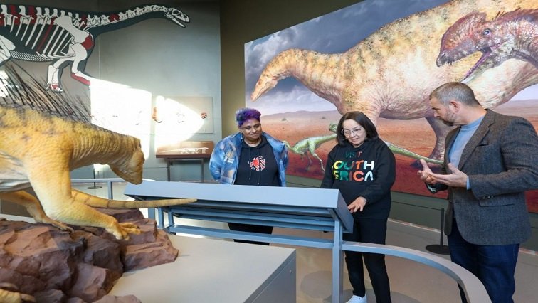 Kgodumodumo Dinosaur Centre handed to SANParks – SABC News