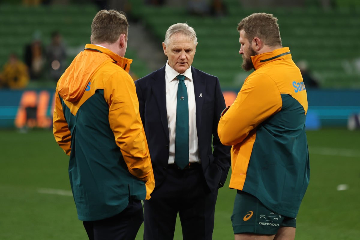Wallabies wary of wounded Lions