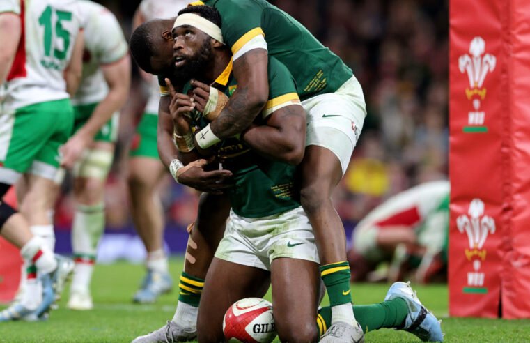 Boks bury Baa Baas, Lions feast on Force