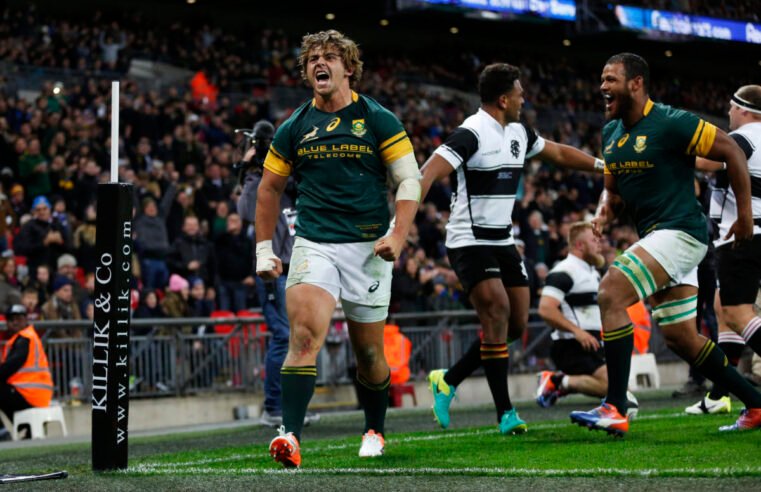 Tale of the Tape: Boks vs Baa Baas