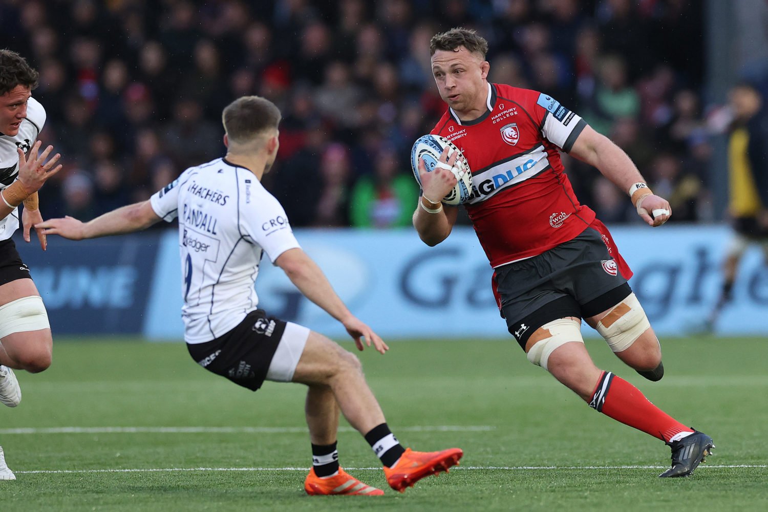 Stormers bolster pack with Ackermann