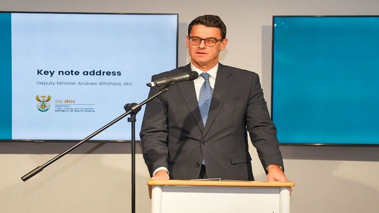 Trade and Industry Deputy Minister Andrew Whitfield axed – SABC News