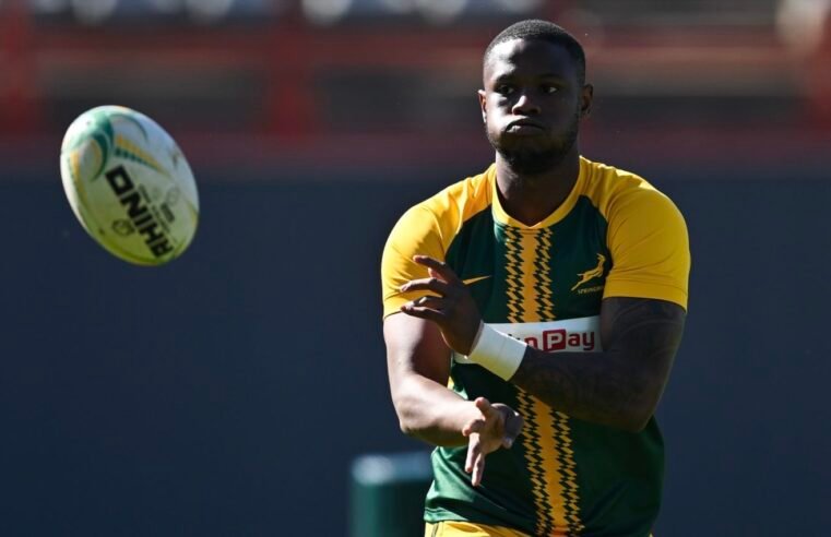 Fassi feeds off Bok energy