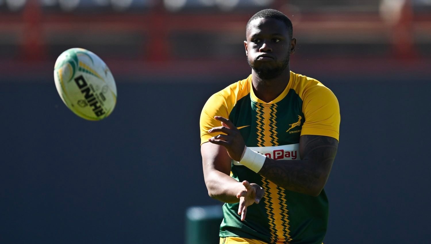 Fassi feeds off Bok energy