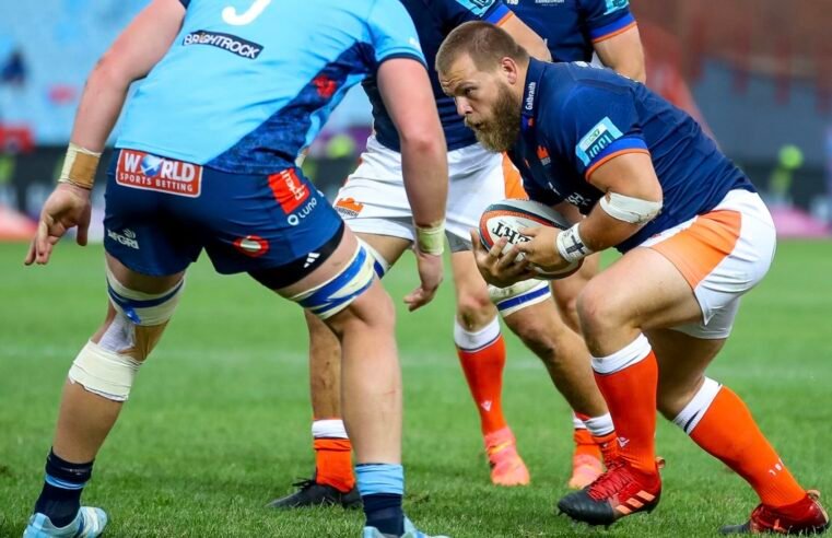 Boks call up Boan as squad size reduced