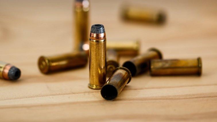 Mchunu praises police on gun and ammunition seizure in EC raid – SABC News
