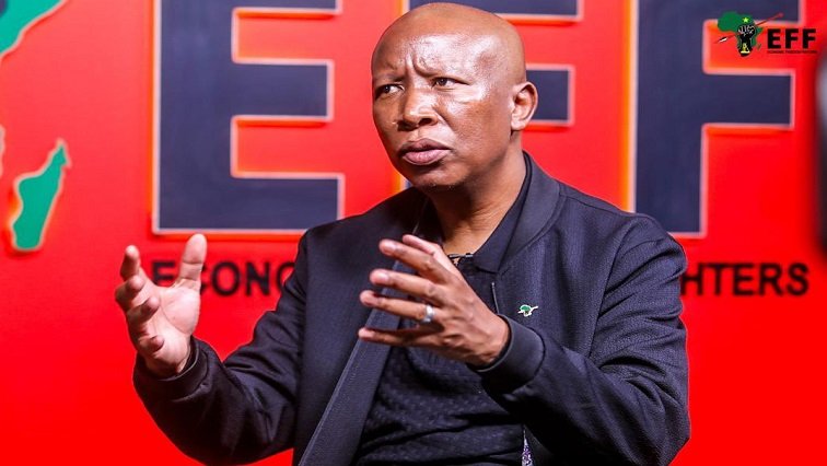 ‘Black unity’ concept cannot only be directed at EFF: Malema – SABC News