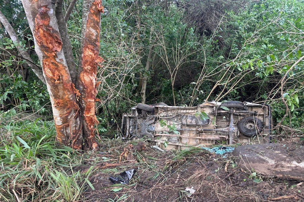 Five die in East London N2 crash – SABC News